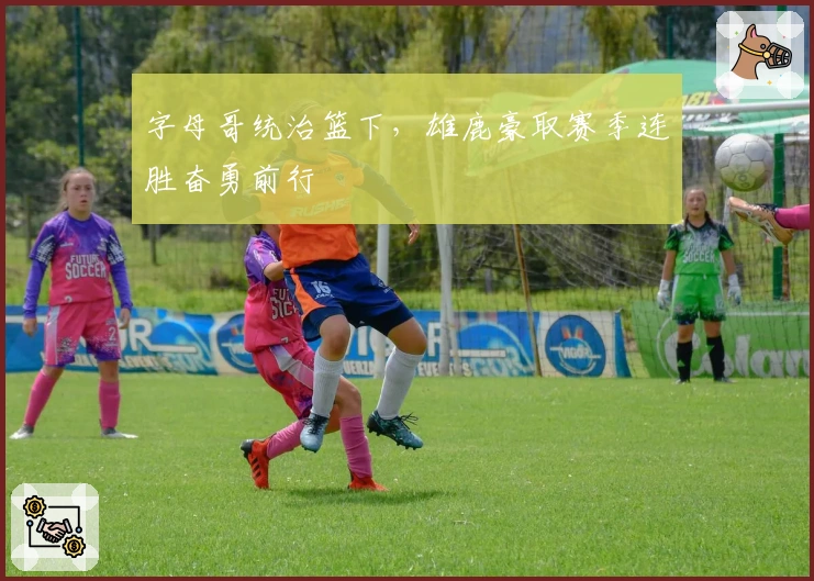 字母哥统治篮下，雄鹿豪取赛季连胜奋勇前行